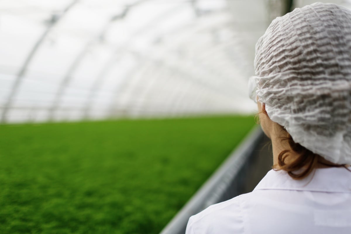 sostenibilità agroalimentare